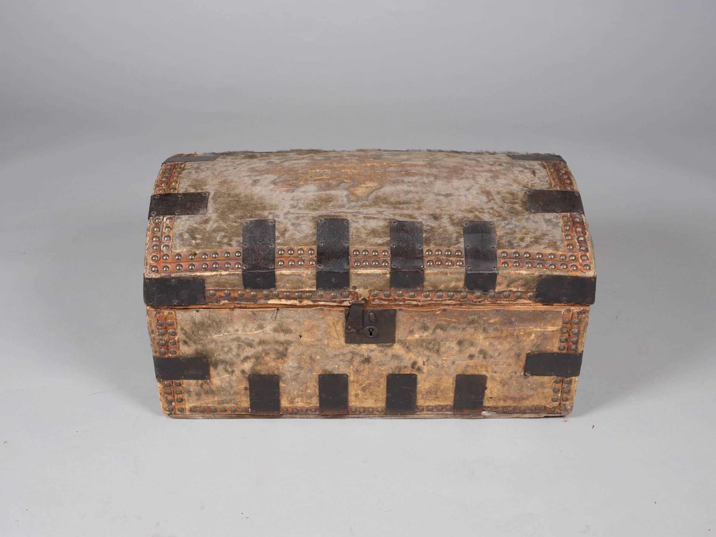 American Collection of 19th Century Hide and Leather Trunks For Sale