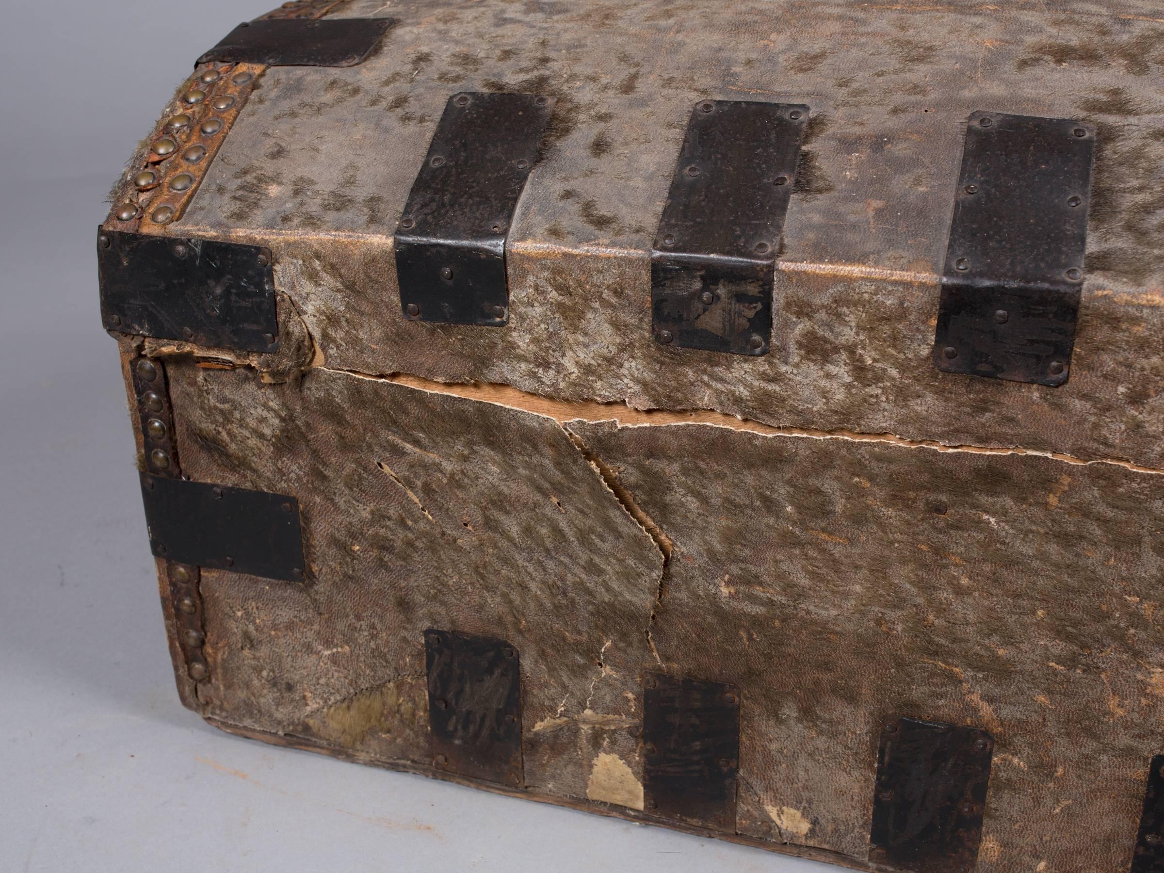 Collection of 19th Century Hide and Leather Trunks In Fair Condition For Sale In New York, NY