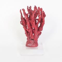 Red Bamboo Coral Sculpture on Lucite