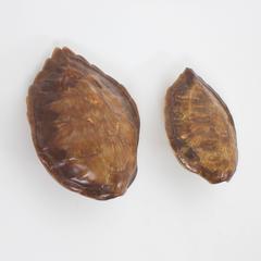 Rare Pair of Vintage Turtle Shell Sconces