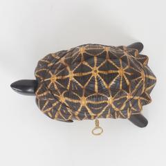 Antique Indian Star Tortoise Box Inlaid with Mahogany and Ebony