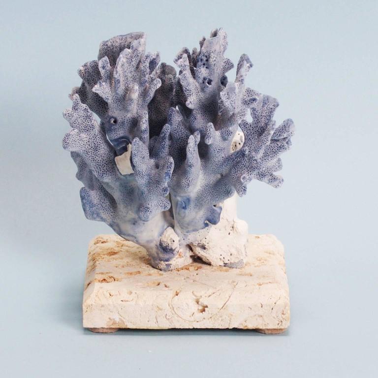 Curated Blue Coral Sculptures, Presented on Coquina Stone Bases at 1stDibs
