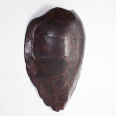 Large Fiberglass Loggerhead Turtle Shell