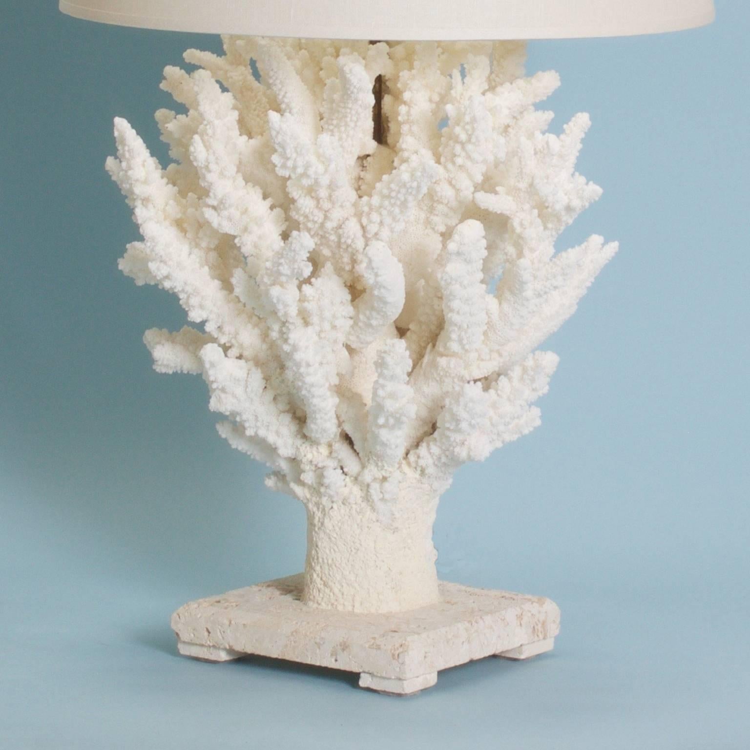 Organic Modern Pair of Sculptural Branch Coral Table Lamps