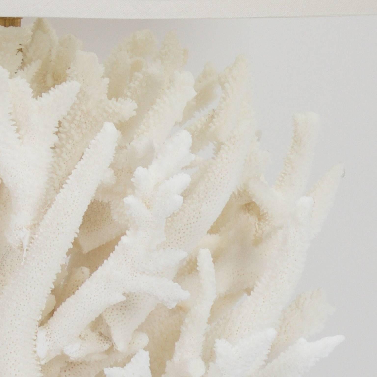 Inspired Pair of Blue and White Staghorn Coral Table Lamps In Excellent Condition In Palm Beach, FL