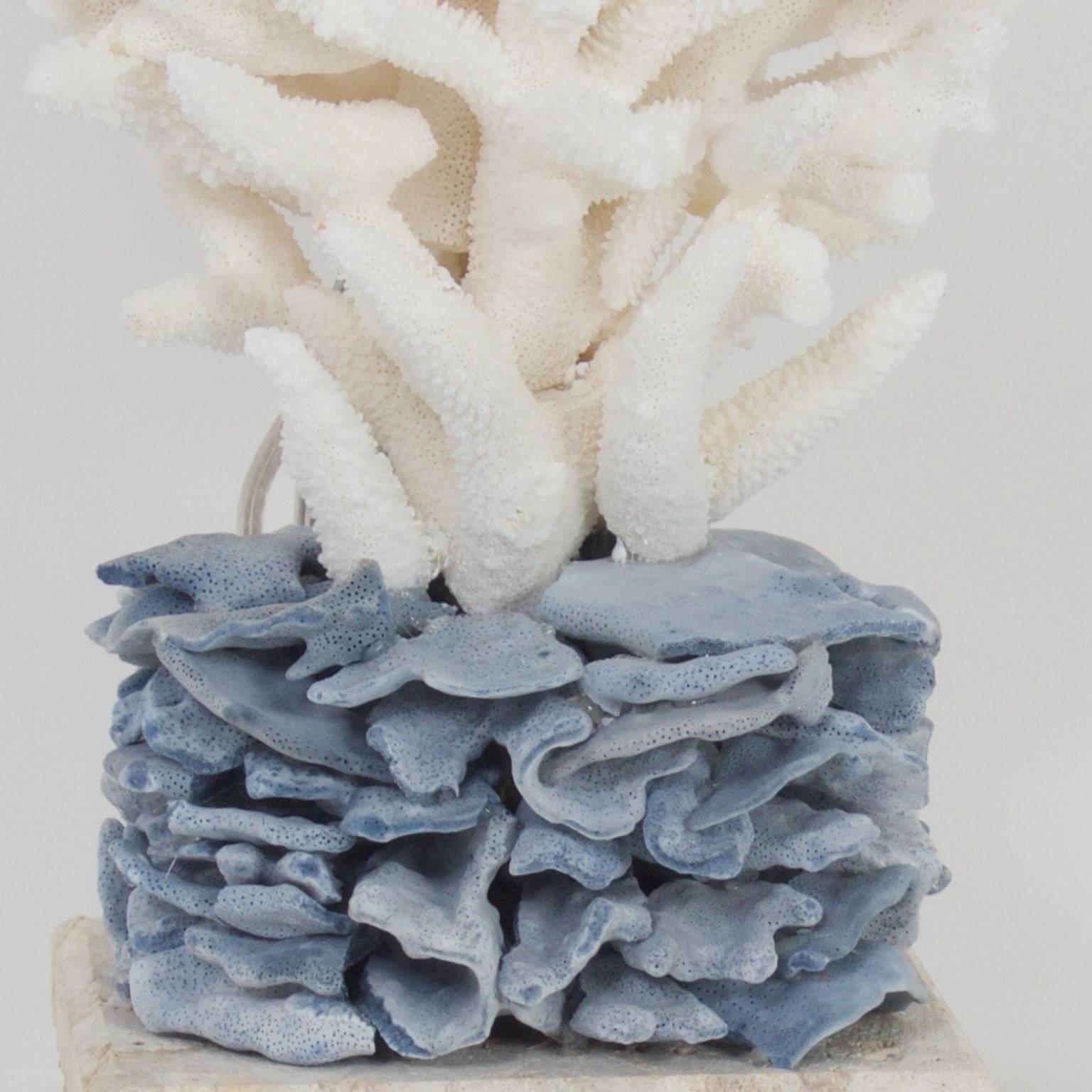 Solomon Islands Inspired Pair of Blue and White Staghorn Coral Table Lamps