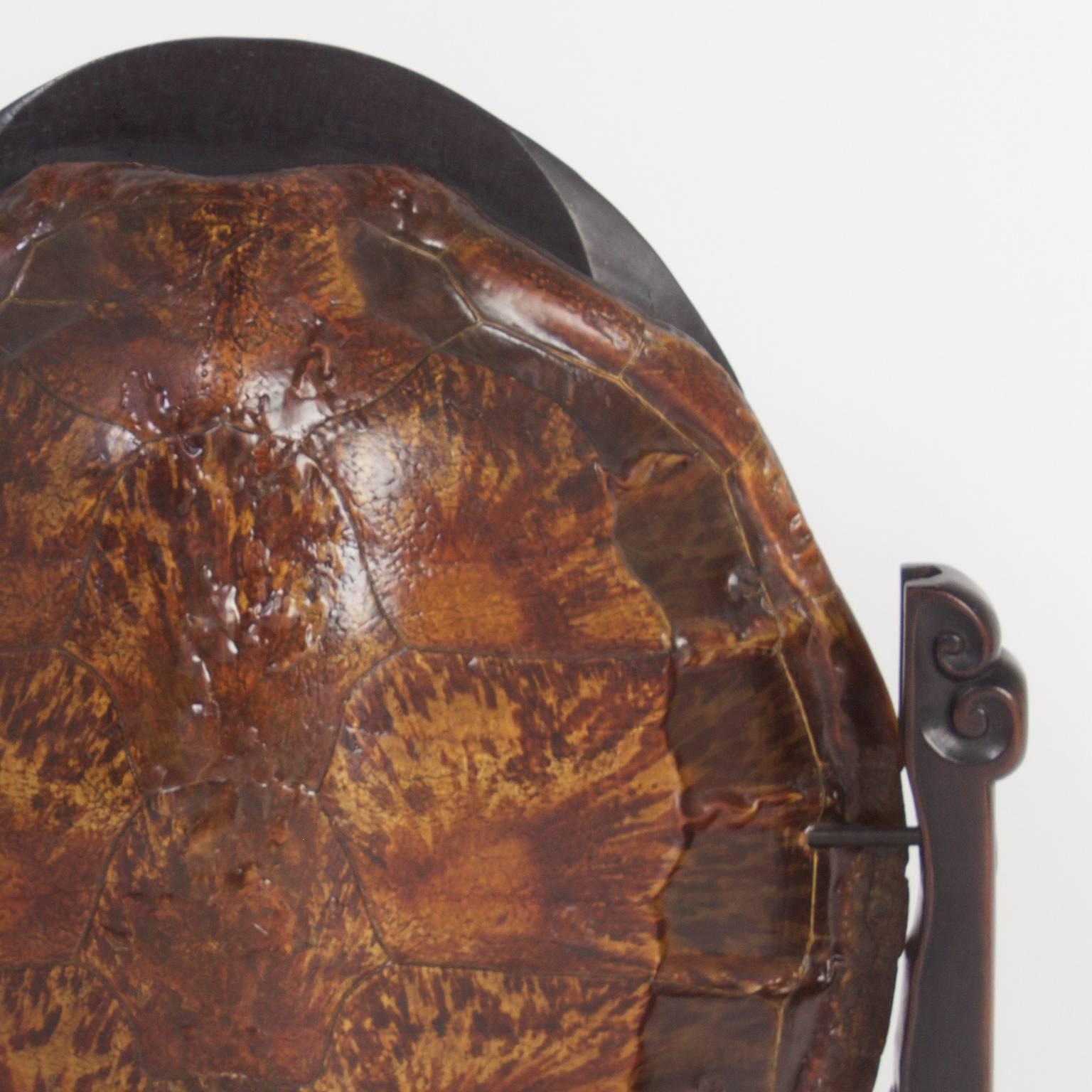 turtle shell furniture