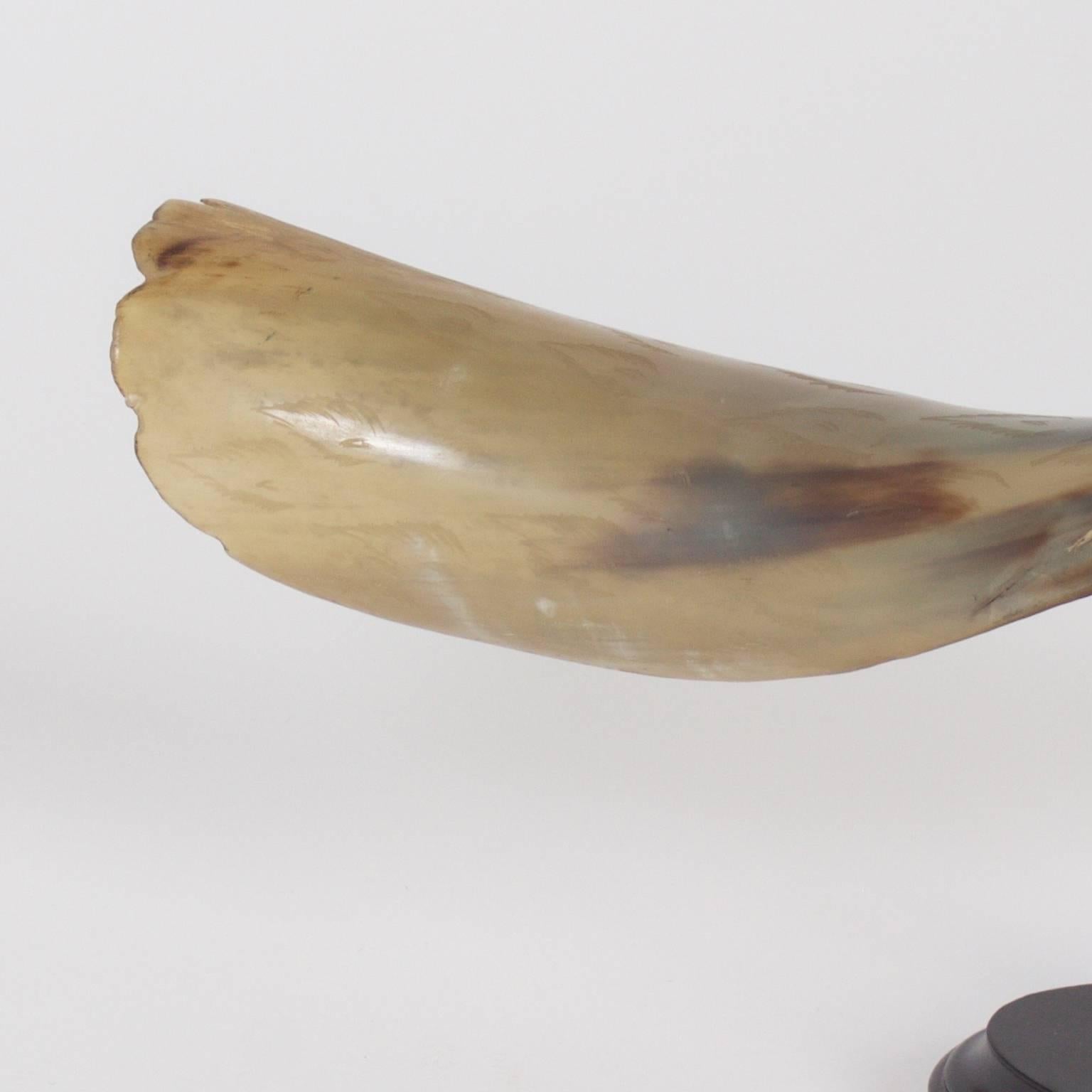 Pair of Carved and Polished Steer Horn Birds In Excellent Condition In Palm Beach, FL