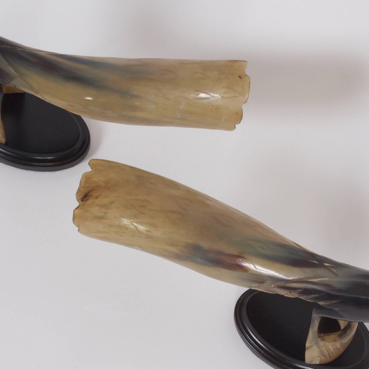20th Century Pair of Carved and Polished Steer Horn Birds