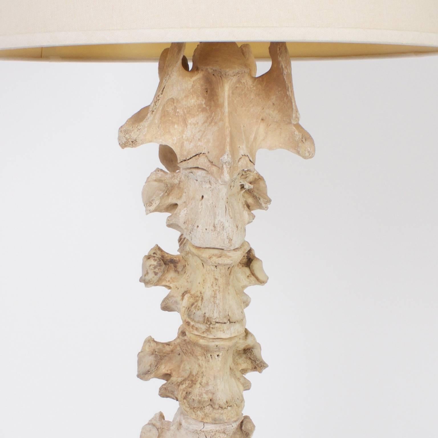 Here is an unusual and certainly rare floor lamp unexpectedly crafted from animal vertebre specimens stacked in an architectural composition. The brass base has a classical form. Newly wired.
 
