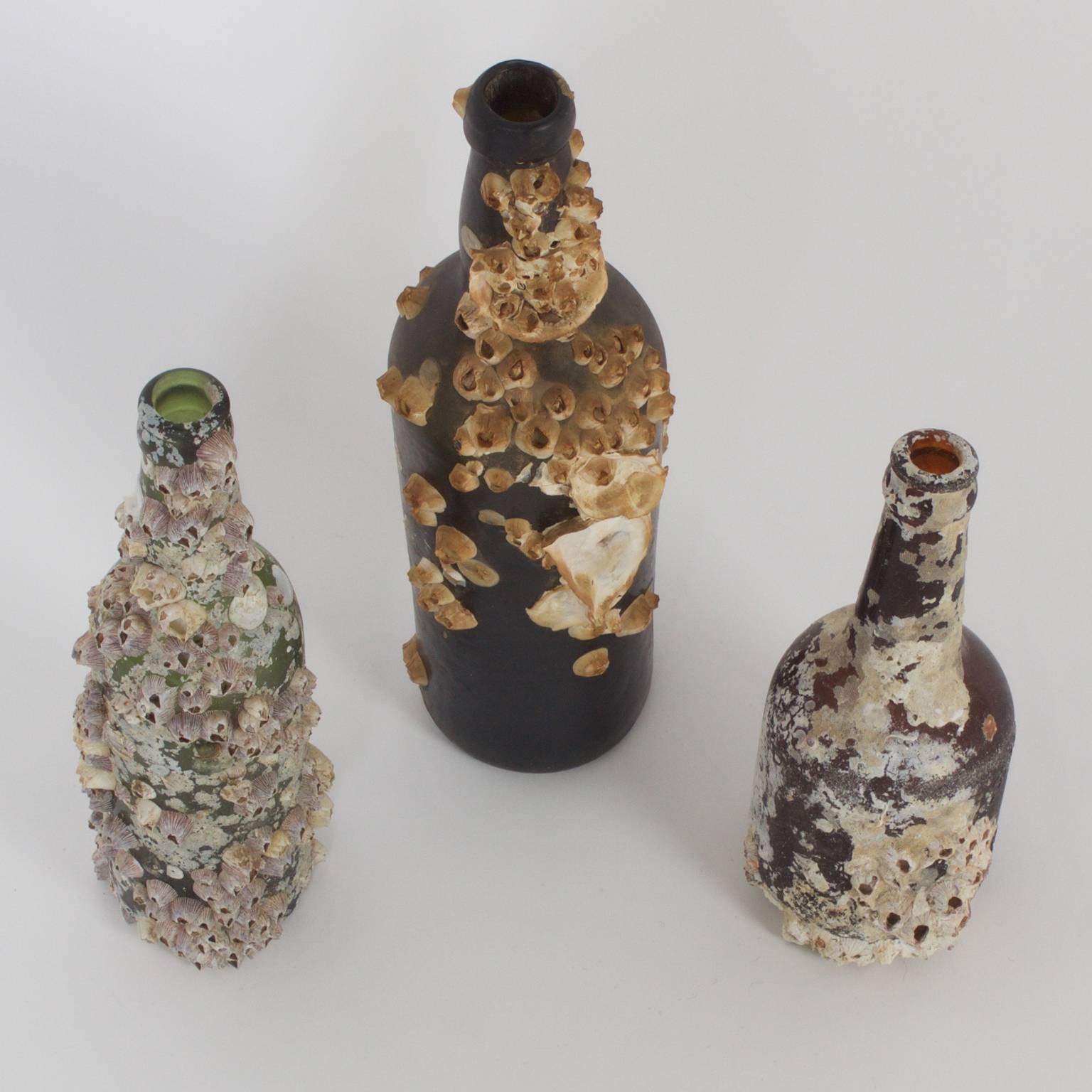 Intriguing set of three bottles recovered from the wreck of the Dutch freighter S. S. Hebe, which was tragically sunk during WWII off the coast of Carolina. Covered with barnacles and full of history. Priced individually.

From left to right: