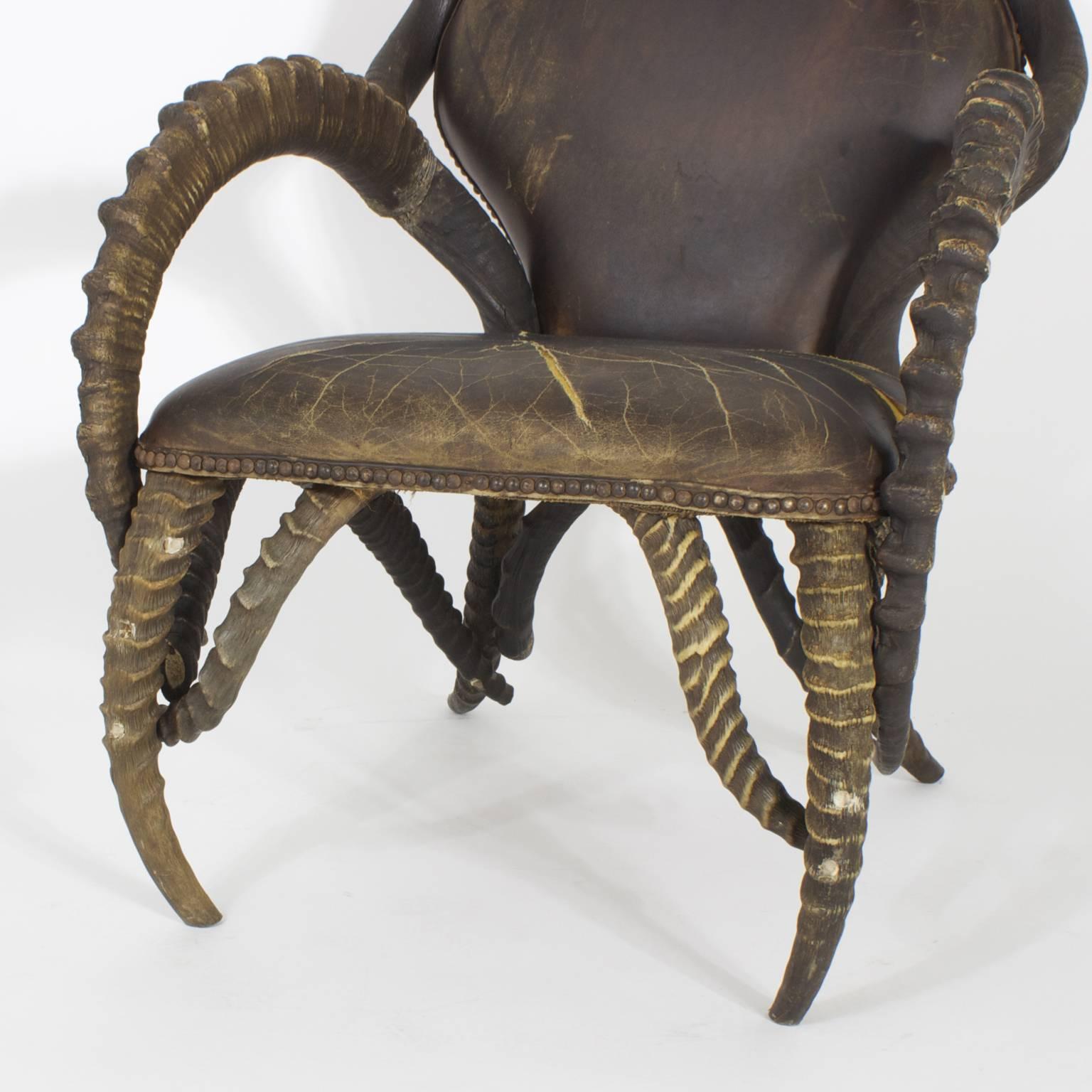 Early 20th Century Set of Six Horn Dining Chairs, Exceptional 1