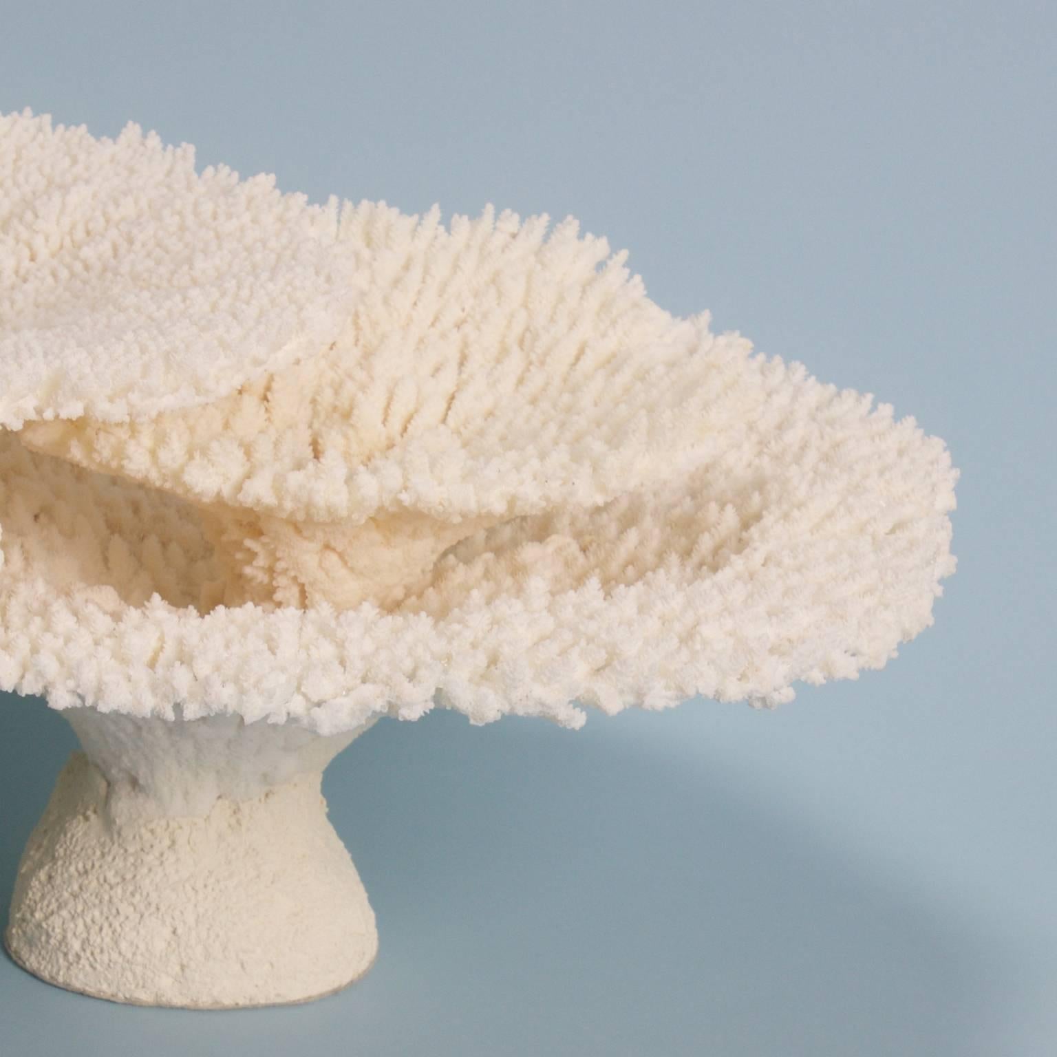 Authentic Table Coral Sculpture 1