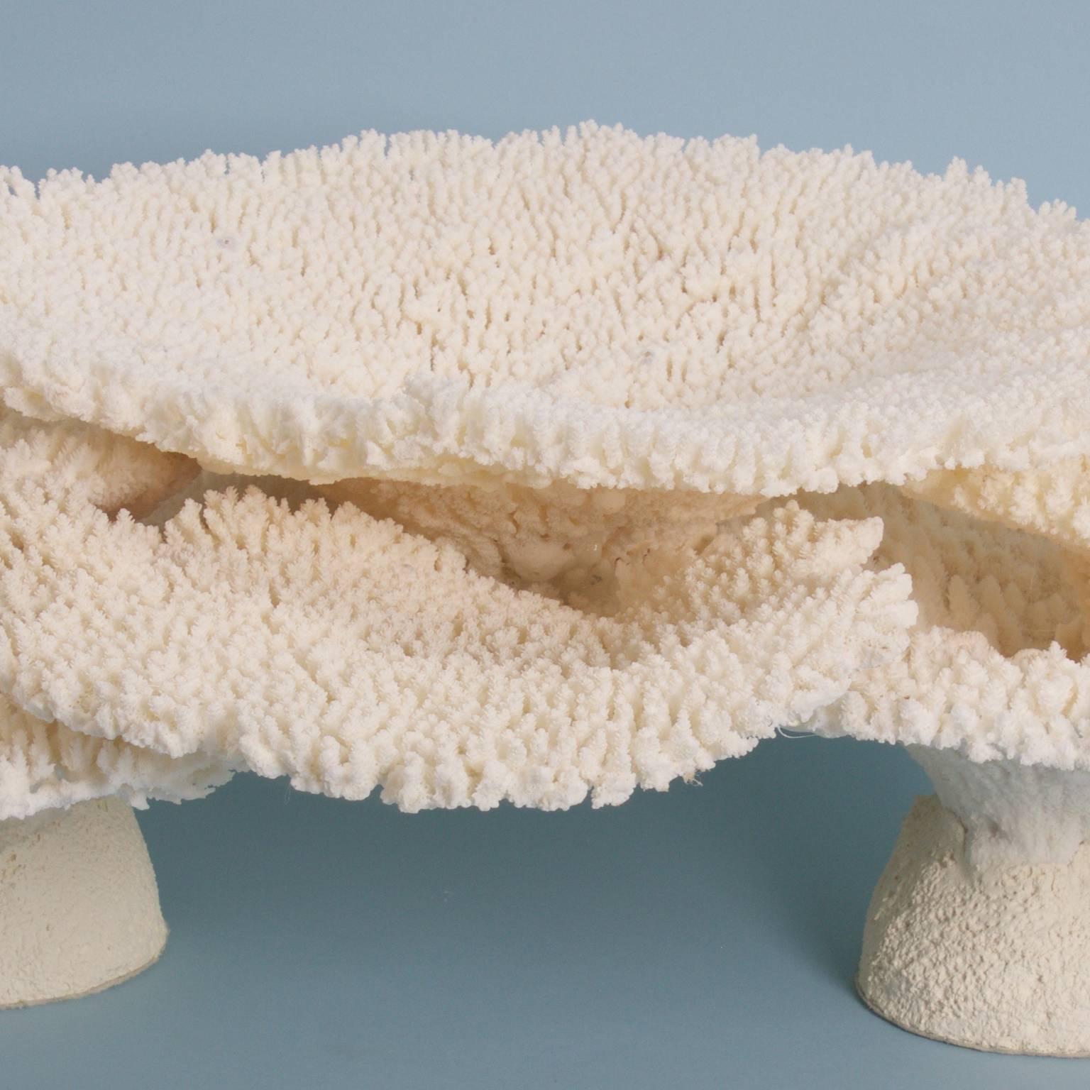 20th Century Authentic Table Coral Sculpture