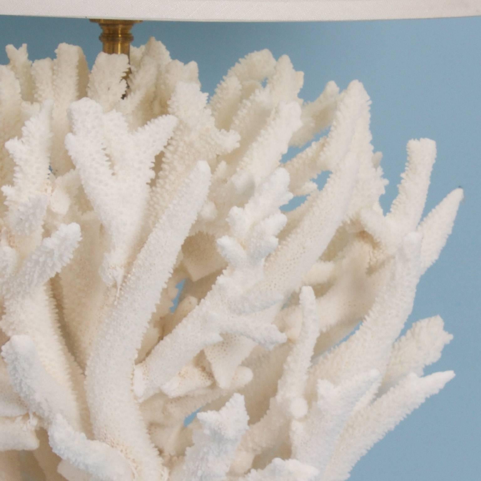 Organic Modern Chic Staghorn and Blue Coral Table Lamp