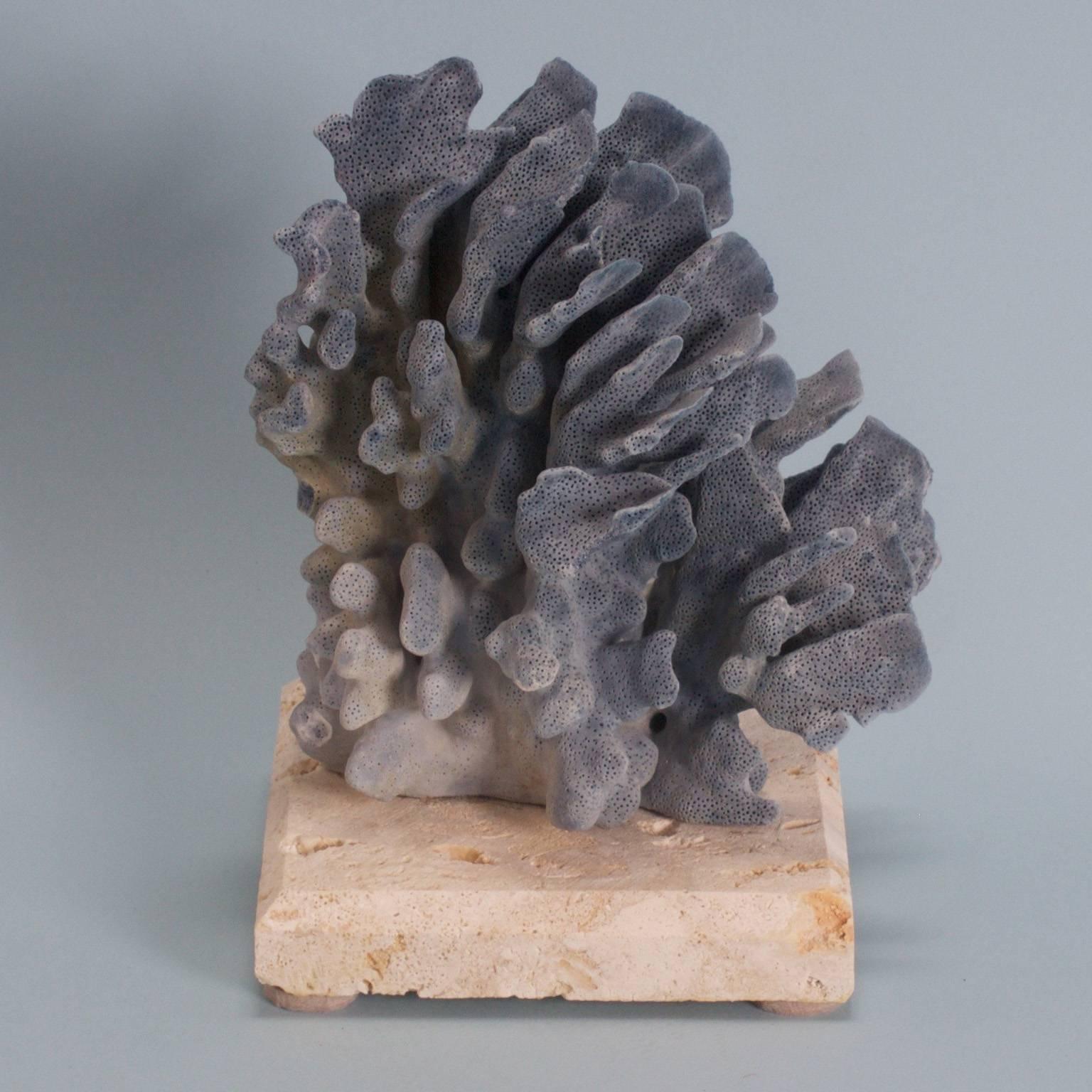 Drei inspirierende organische Skulpturen aus blauen Korallen, die von Mutter Natur geschaffen wurden und von F. S. Henemader auf speziell angefertigten Sockeln aus Kokosgestein präsentiert werden.

Bitte beachten Sie, dass Korallen ohne umfangreiche