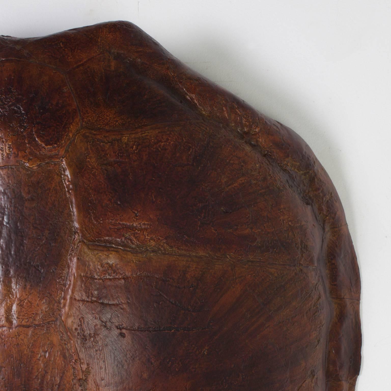 faux turtle shell
