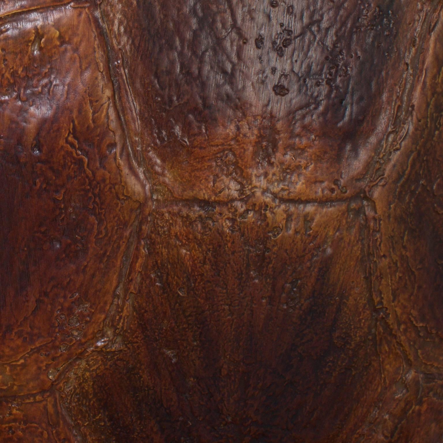 fake turtle shell