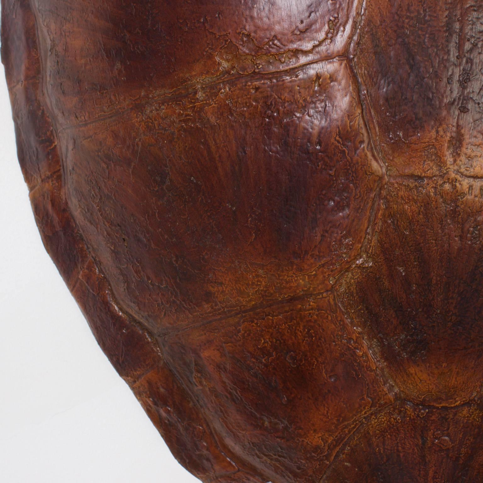 American Faux Green Turtle Shell
