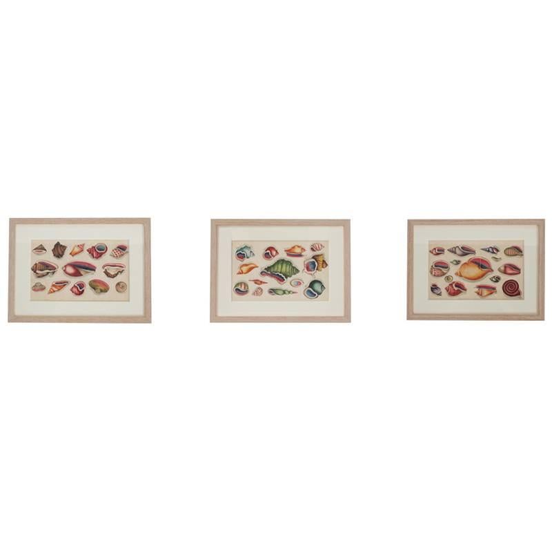 Set of Three Chinese Pith Paintings, Price Individually