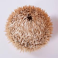 Tropical Sea Urchin Table Lamp