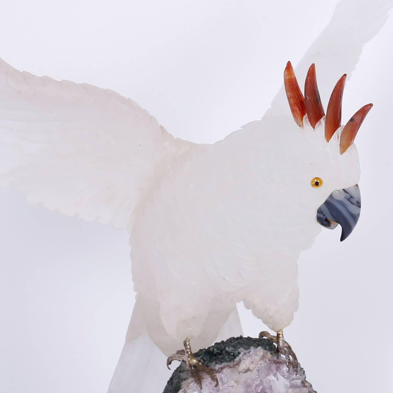 cockatoo for sale