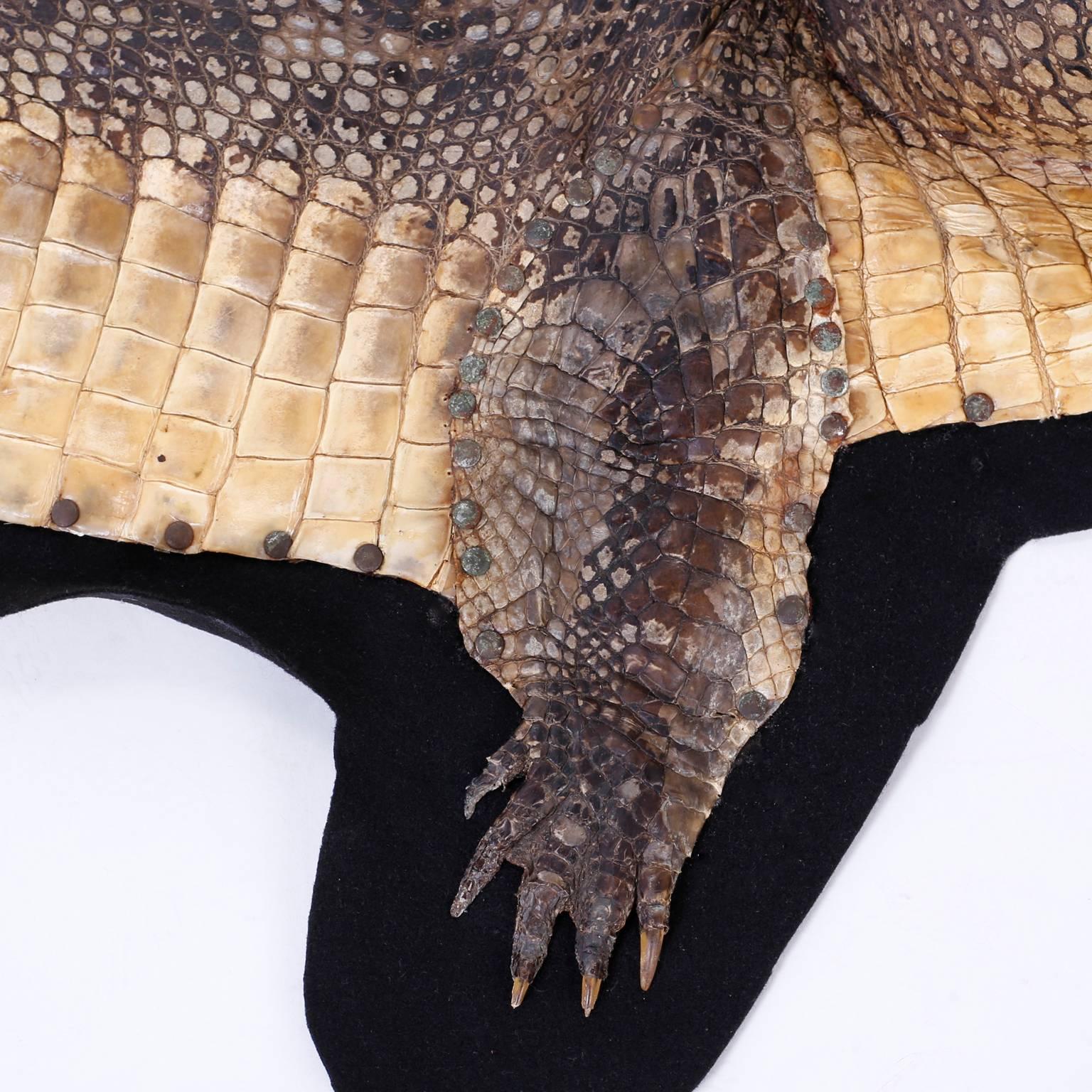 real alligator rug