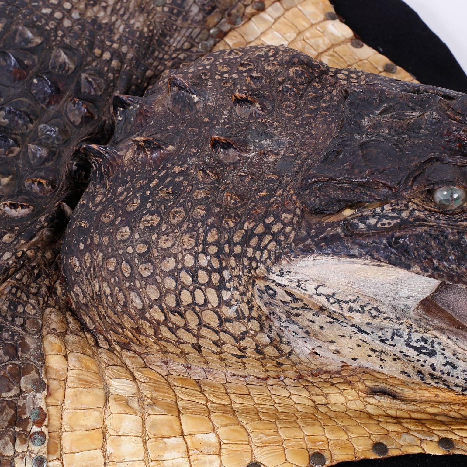 Taxidermy Alligator Rug or Hide In Excellent Condition In Palm Beach, FL