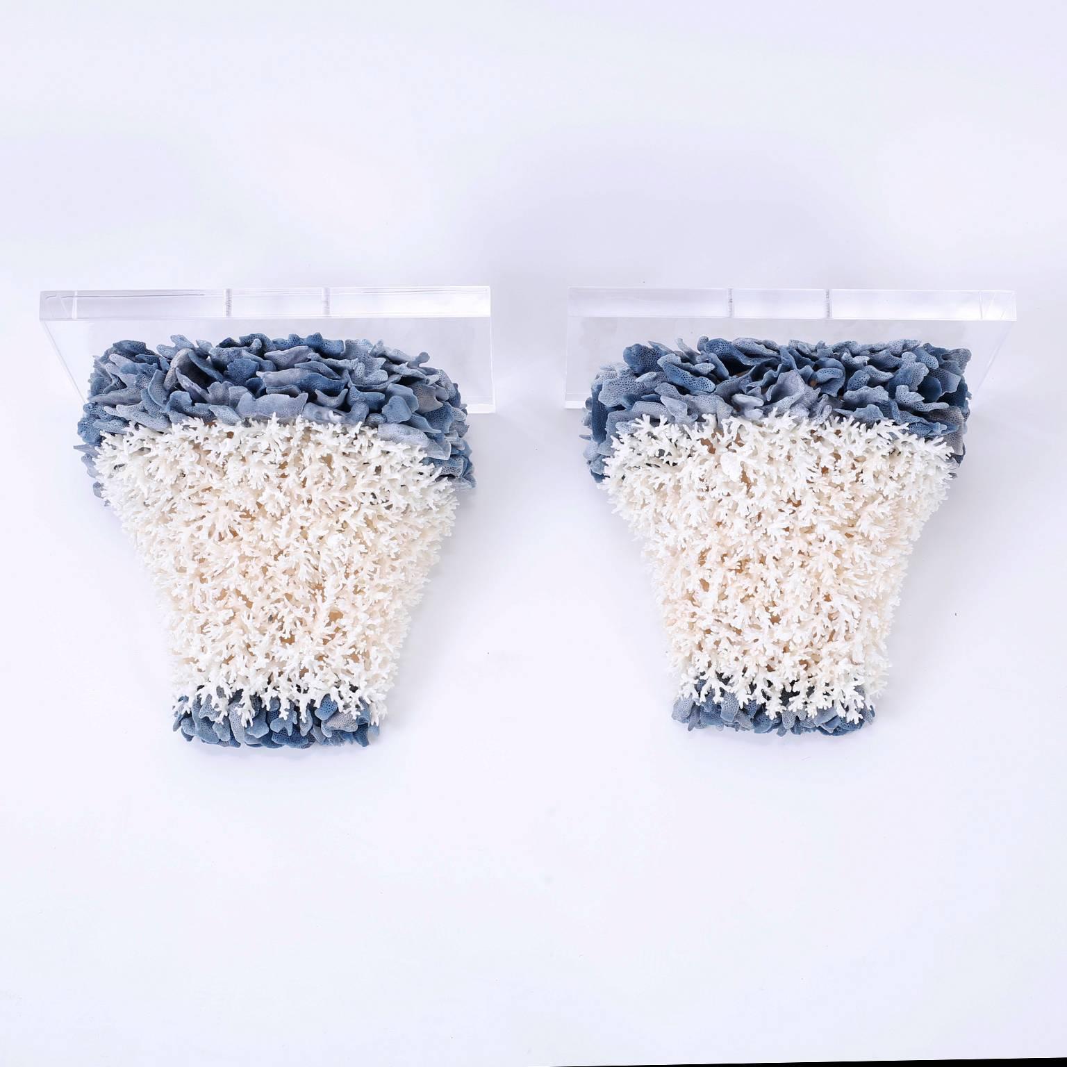 One of a kind dramatic pair of coral brackets designed and made by F.S. Henemader. Expertly crafted with authentic lace and blue coral then topped with a thick Lucite plateau. Perfect for coastal living or any interior that needs