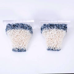 Pair of Coral Brackets