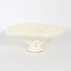 Table Coral Sculpture
