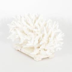 Dramatic Branch Coral Sculpture or Centerpiece