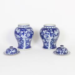 Chinese Export Style Pair of Blue and White Prunus Lidded Jars