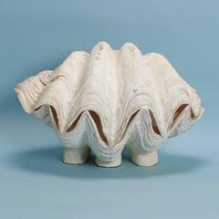 Large Intact Footed Gigas Clam