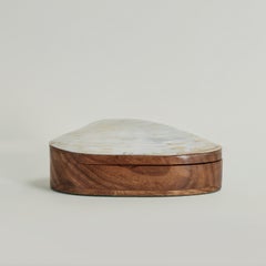 Caja vintage de conchas marinas