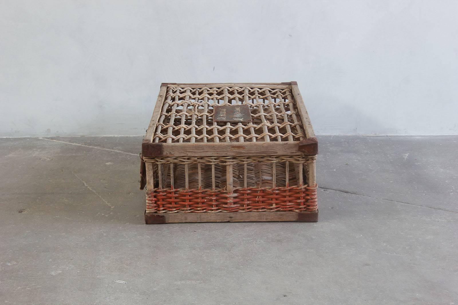Late 19th Century Woven Pigeon Crate with Green White and Orange Painted Details