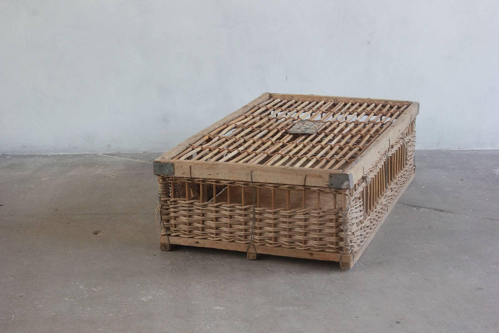 Woven Pigeon Crate with Painted and Metal Details 1