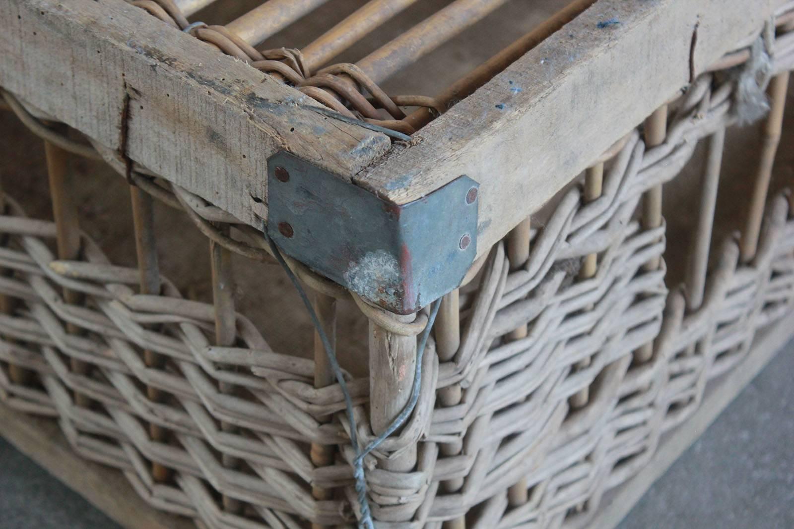 Late 19th Century Woven Pigeon Crate with Painted and Metal Details