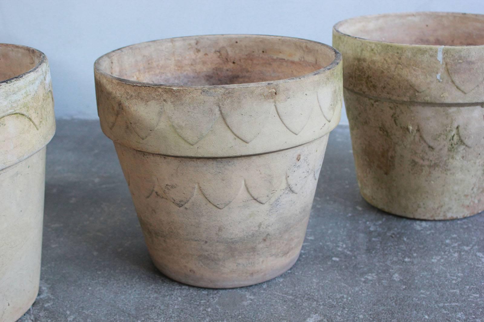 scalloped terracotta pots