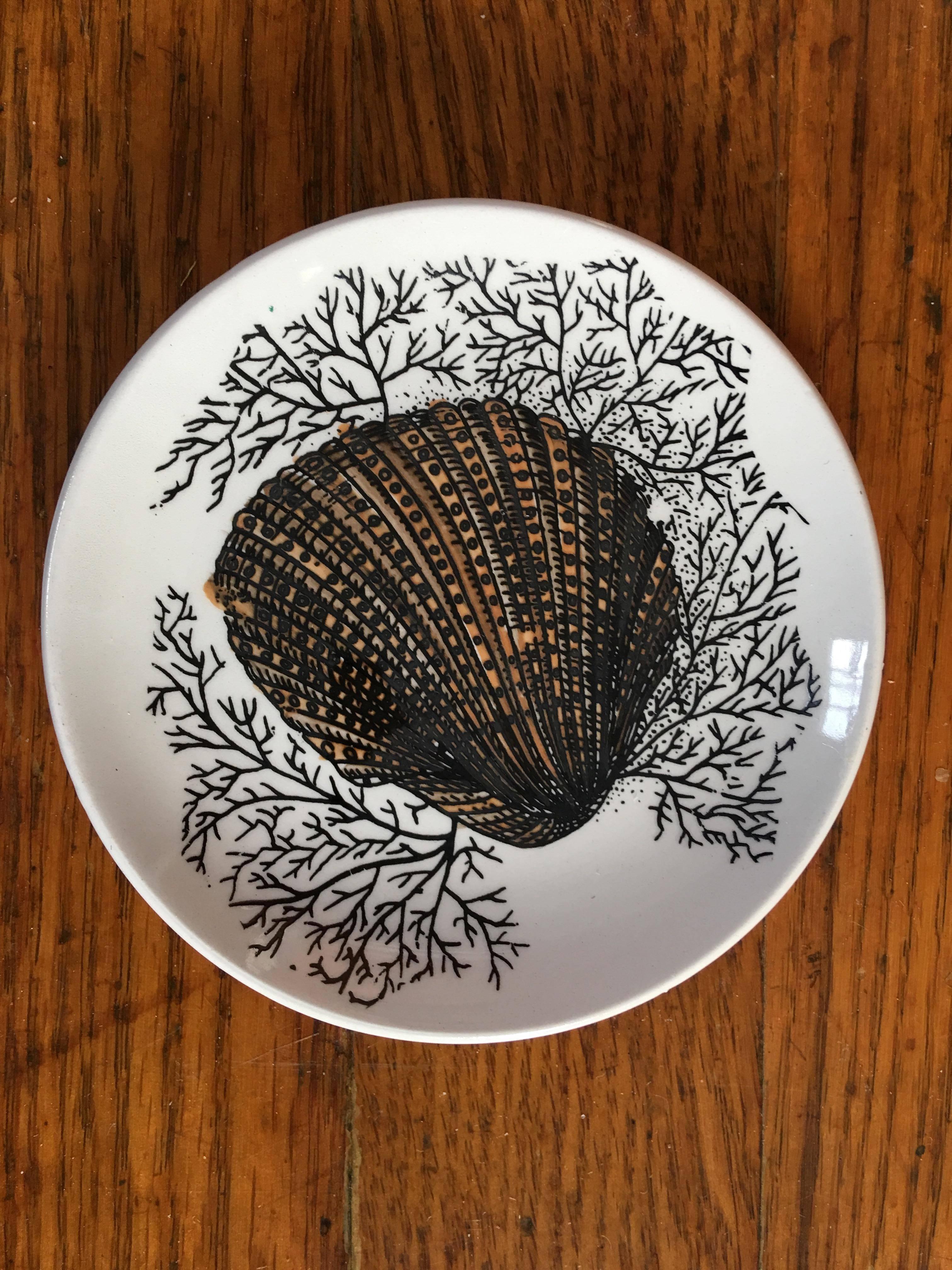 Set of Bucciarelli Milano Pottery Sea Shell Coasters Eight, 1960s In Excellent Condition In Downingtown, PA