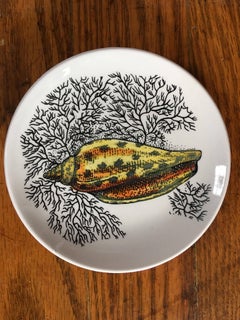 Set of Bucciarelli Milano Pottery Sea Shell Coasters Eight, 1960s