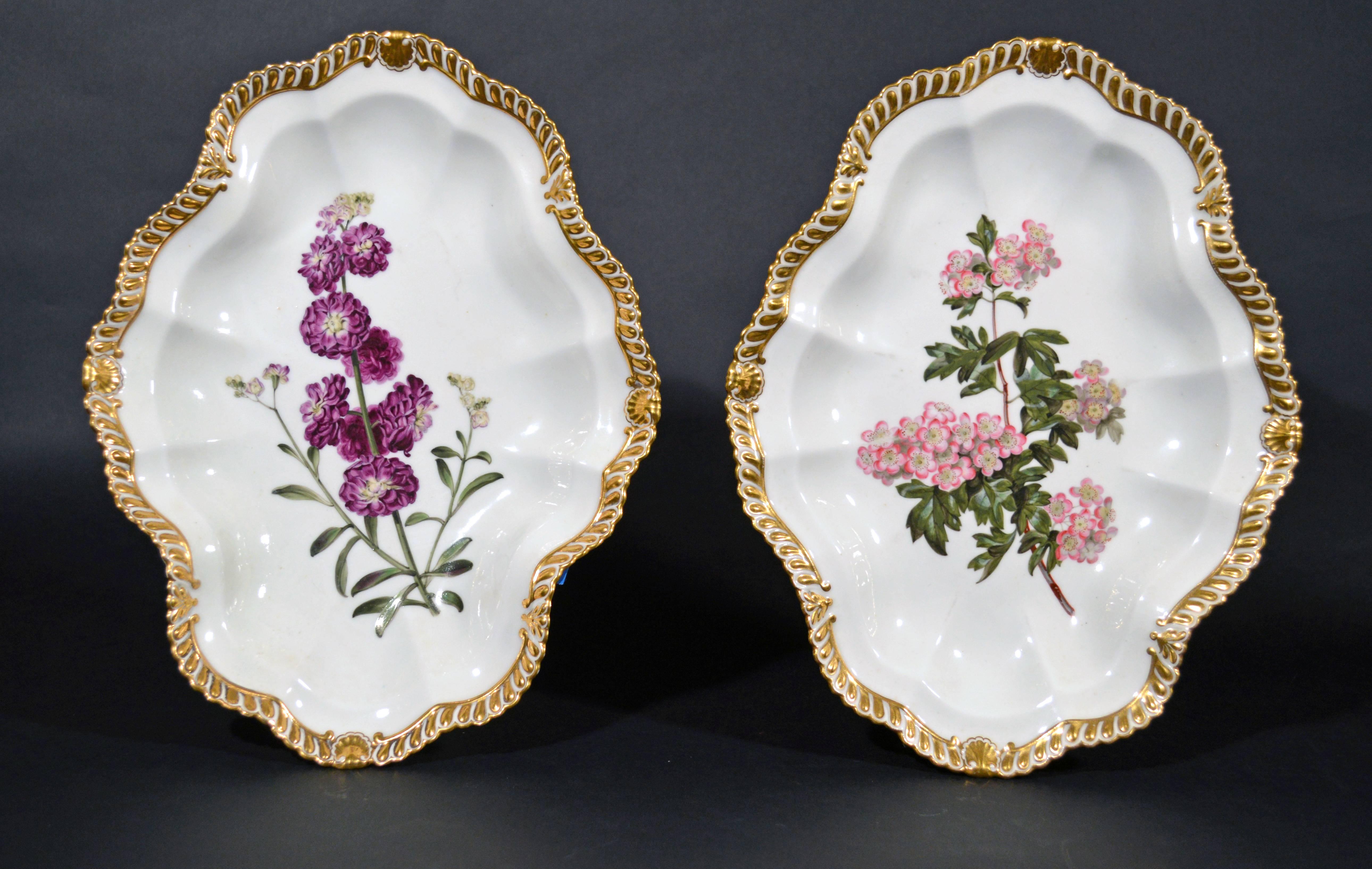 Exciting Chamberlain Worcester porcelain pair of oval shaped dishes are gadroon-edged with a gilt and white design with alternating moulded shell and fleur de lis panels. Each dish is finely painted with a single specimen, each named on