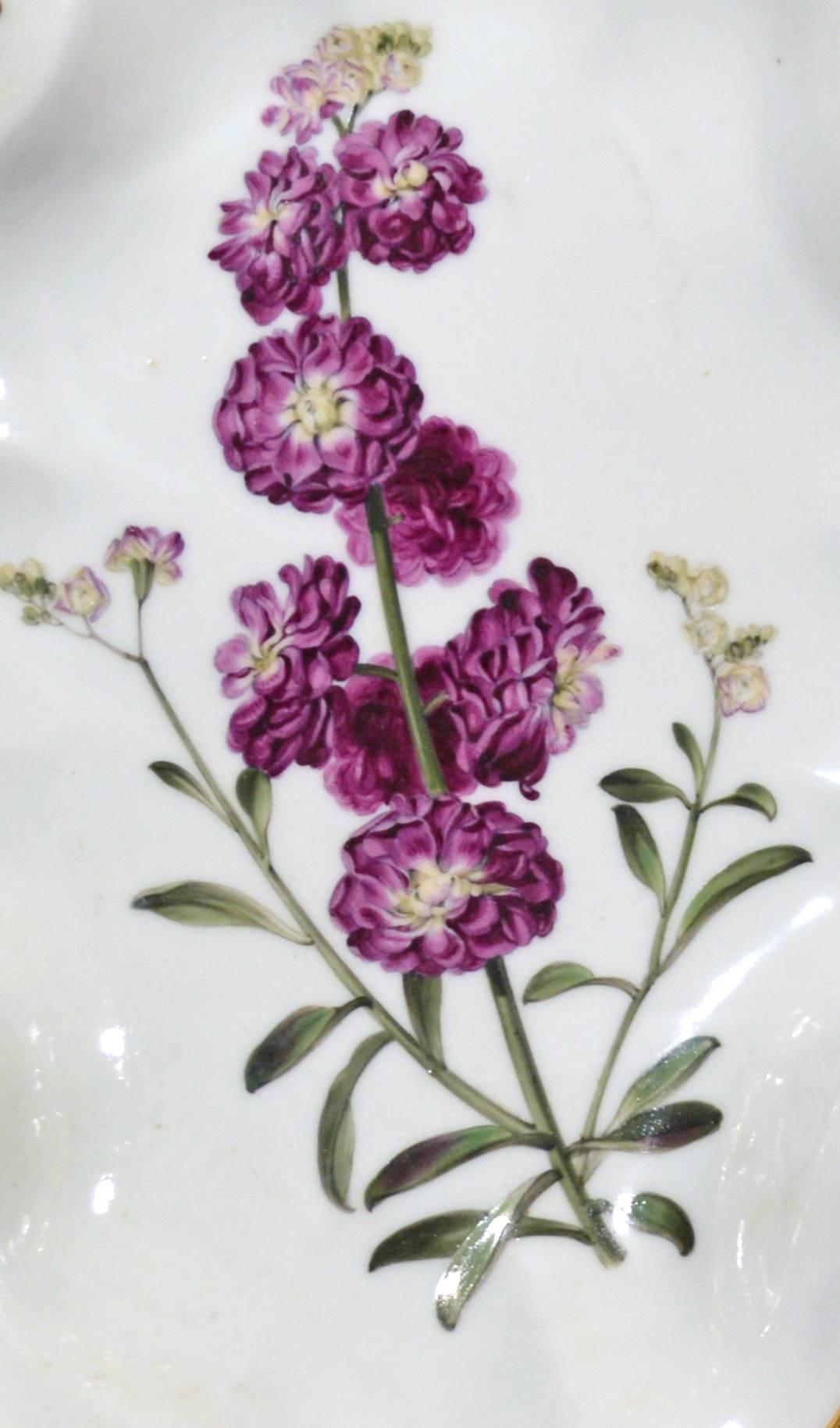 Regency Chamberlain's Worcester Porcelain Botanical Dishes