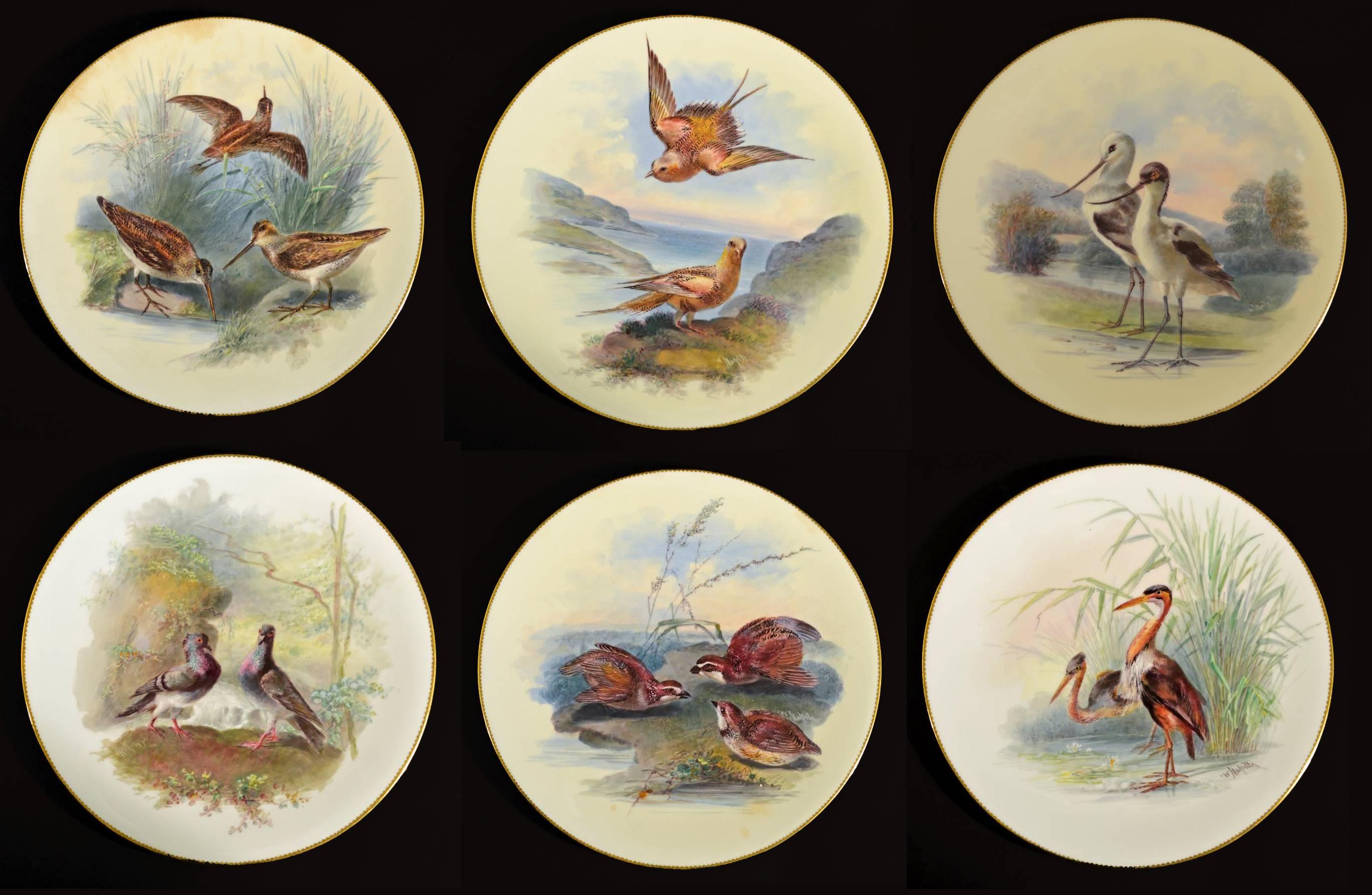 Minton porcelain bird plates are signed by William Mussil who was considered by some to be the finest Bird Painter in the ceramics world had seen at the time he painted these lovely plates of birds in landscape setting along with rich gold gilt