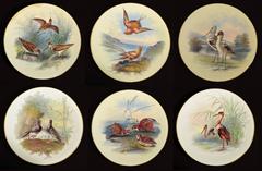 Thomas Minton Porcelain Bird Cabinet Plates, Signed by William Mussil.