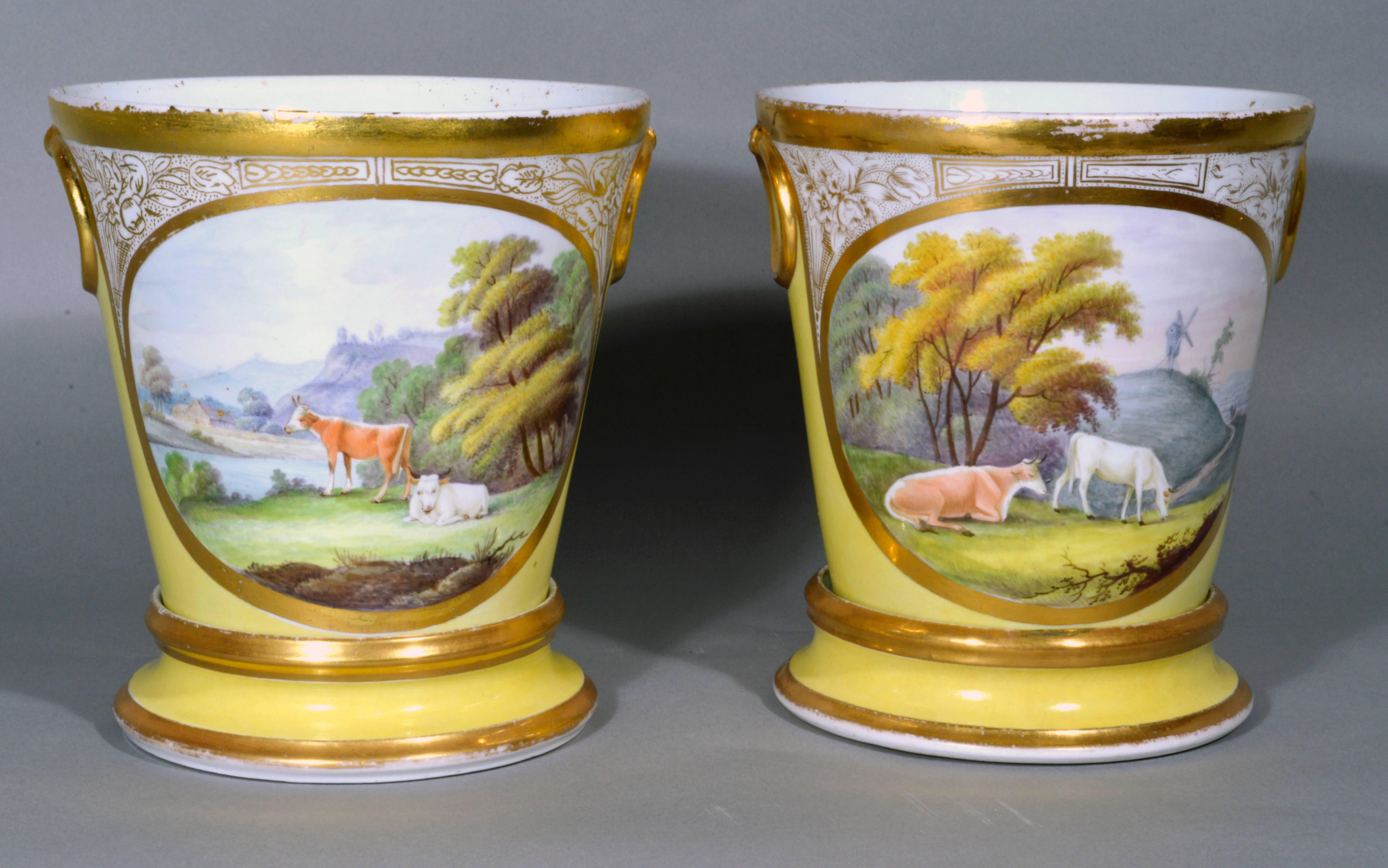 The Coalport Porcelain pair of yellow-ground cache pots and stands each have oval panels to the front with a gilt band and an ornate gilt design of tulips above.  Each panel is painted with bucolic scenes of cattle in landscapes.  In one a windmill