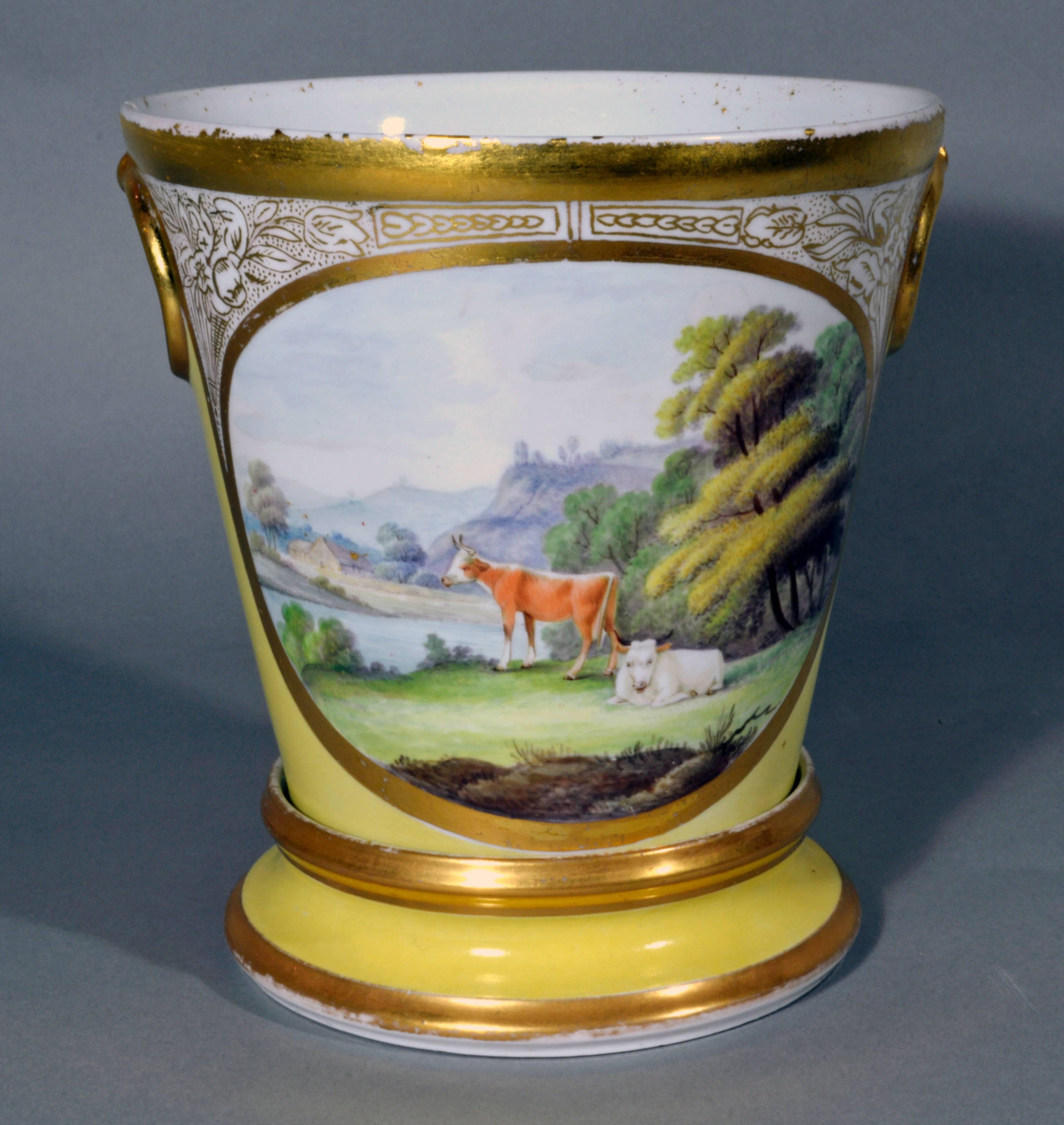 Regency Coalport Porcelain Yellow Cache Pots and Stands with Pastoral Scenes of Cows