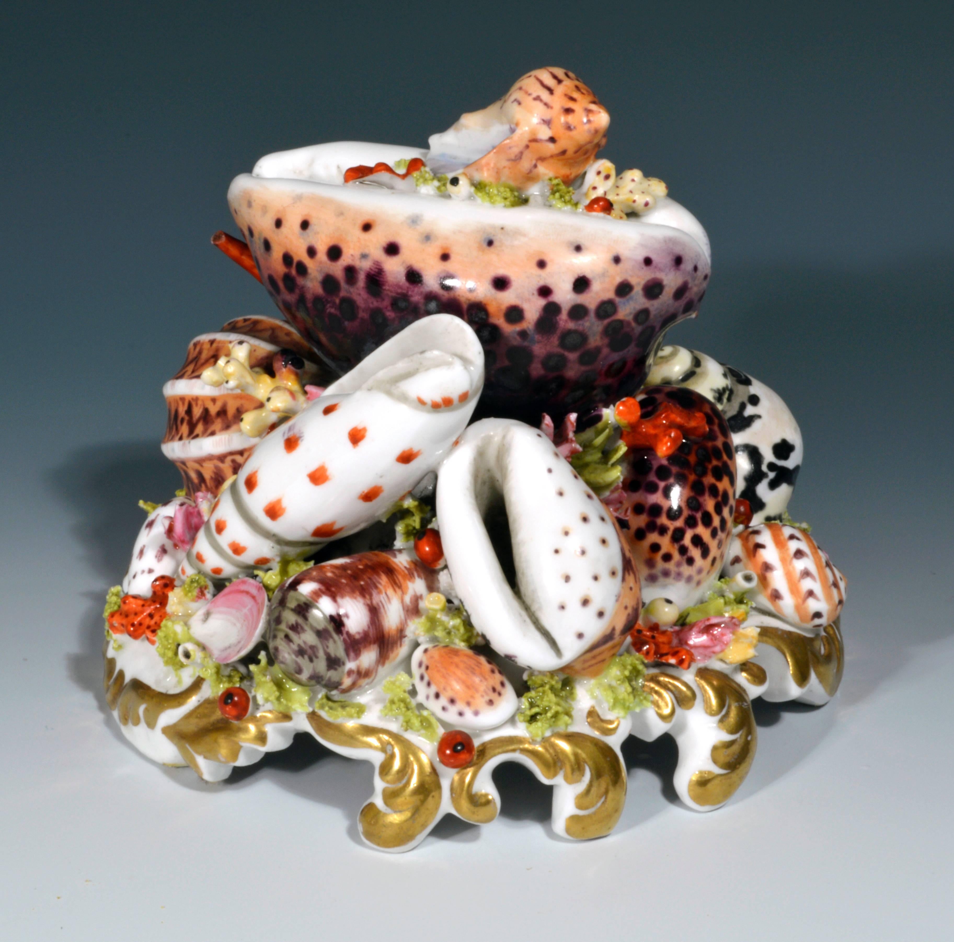 The Chamberlain Worcester seashell centerpiece or paperweight is a beautiful tour de force of porcelain making with a grouping of beautiful naturalistic sea shells representing many different species piled carefully on an openwork circular gilded