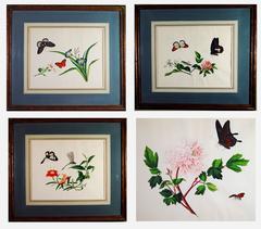 Chinese Botanical Large Watercolors on Paper, Set of Four