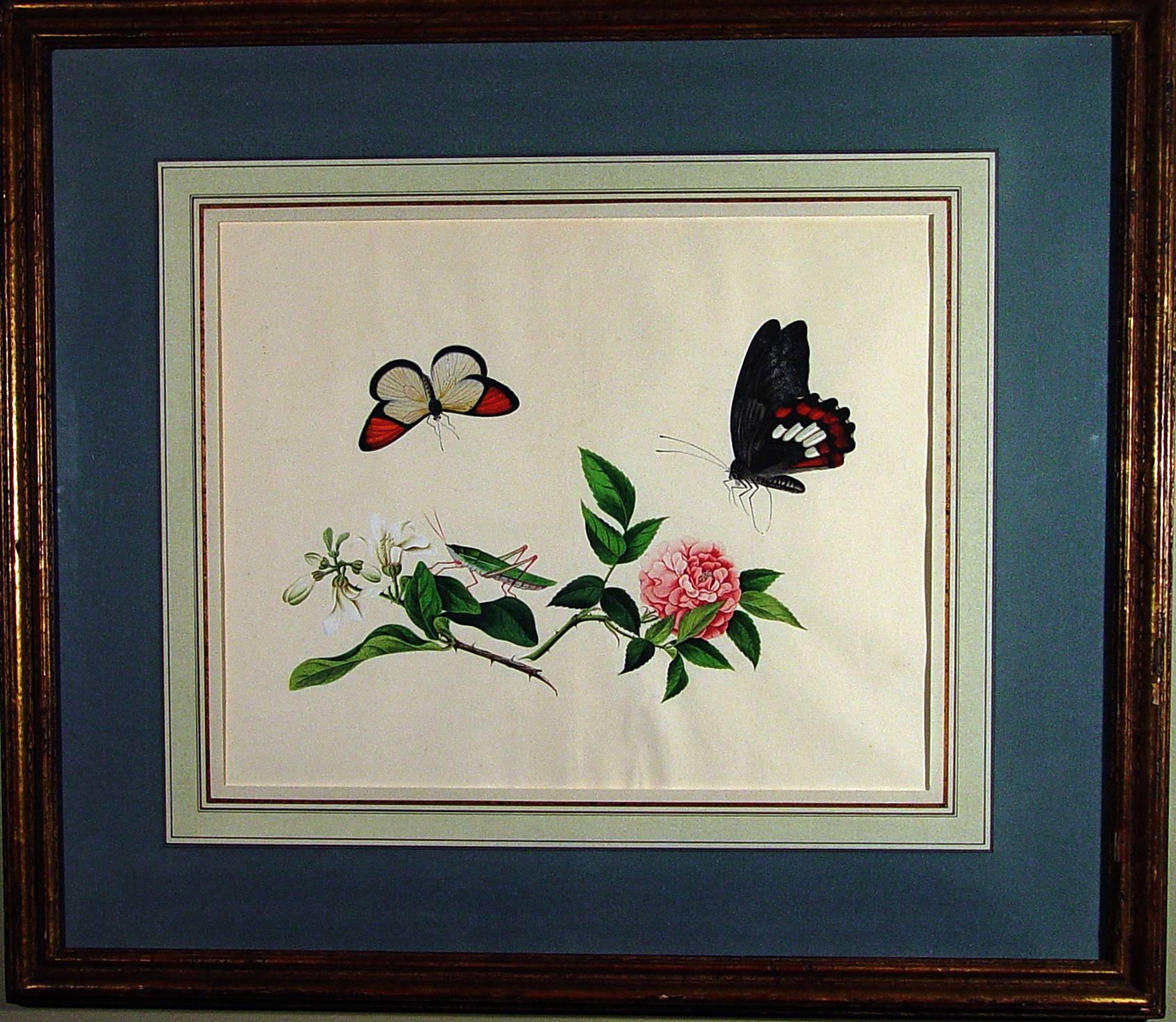 Chinese Botanical Large Watercolors on Paper, Set of Four In Good Condition For Sale In Downingtown, PA